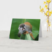 Squirrel Monkey Costa Rica Kaart (Gele Bloem)