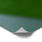 Squirrel Monkey Costa Rica Poster (Hoek)