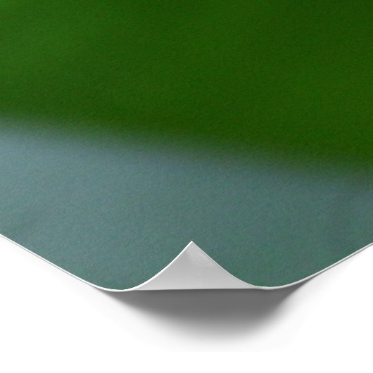 Squirrel Monkey Costa Rica Poster (Hoek)