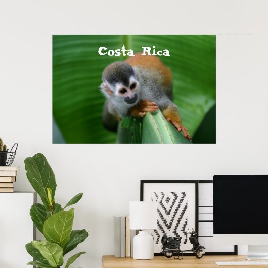 Squirrel Monkey Costa Rica Poster (Thuiskantoor)