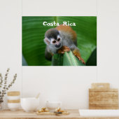 Squirrel Monkey Costa Rica Poster (Keuken)