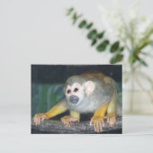 Squirrel Monkey Crouing Briefkaart (Staand voorkant)