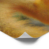 Squirrel Monkey Poster (Hoek)