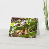 Squirrel Monkey Wenskaart Kaart (Voorkant)