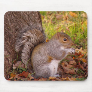 Squirrel Mosue Pad Muismat