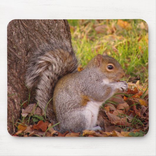 Squirrel Mosue Pad Muismat (Voorkant)