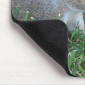 Squirrel Mousepad, met "Clicker" Muismat (Hoek)