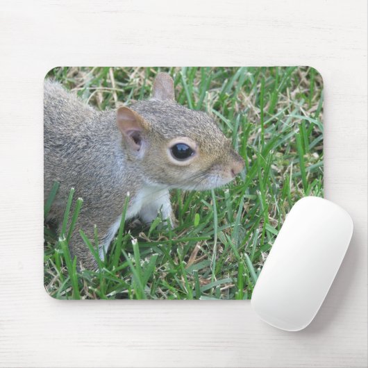 Squirrel Mousepad, met "Clicker" Muismat (Met muis)