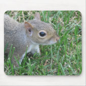 Squirrel Mousepad, met "Clicker" Muismat (Voorkant)