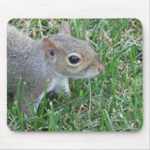 Squirrel Mousepad, met "Clicker" Muismat