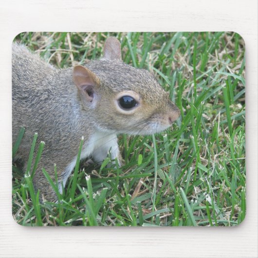 Squirrel Mousepad, met "Clicker" Muismat (Voorkant)