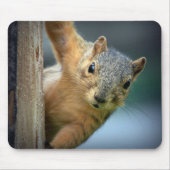 Squirrel Mousepad Muismat (Voorkant)