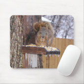 Squirrel Mousepad Muismat (Met muis)
