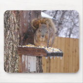 Squirrel Mousepad Muismat (Voorkant)