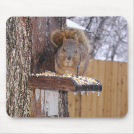 Squirrel Mousepad Muismat