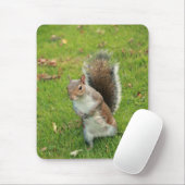 Squirrel Mousepad Muismat (Met muis)
