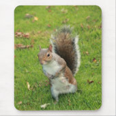 Squirrel Mousepad Muismat (Voorkant)