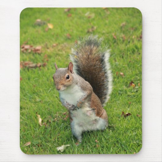 Squirrel Mousepad Muismat (Voorkant)