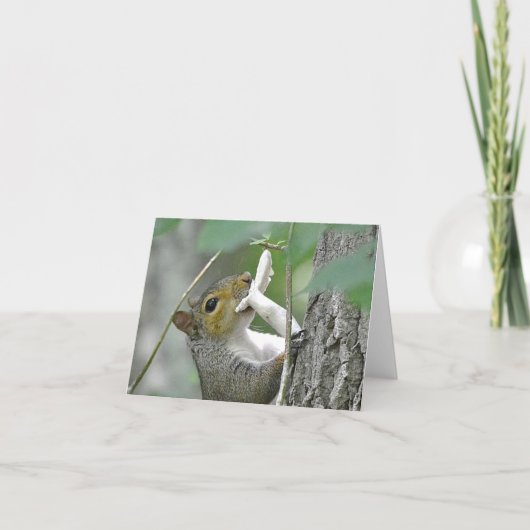 Squirrel Notecard Kaart (Voorkant)