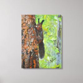 Squirrel on Pine Tree – Realistic Oil Painting Canvas Afdruk