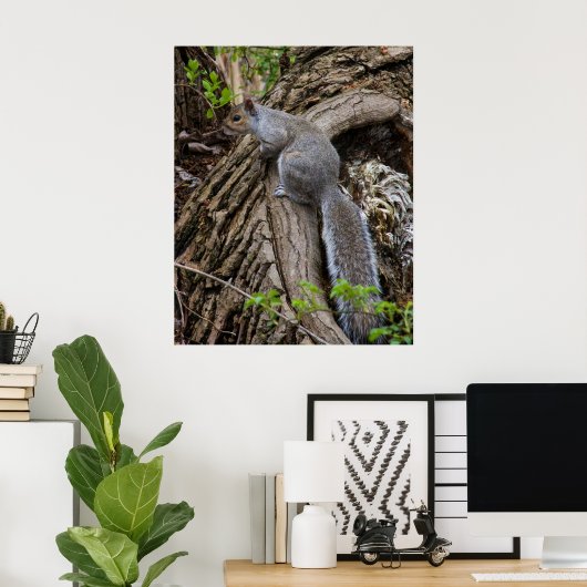 Squirrel on Standby Poster (Thuiskantoor)