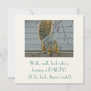 SQUIRREL OP FENCE DIE NAAR HUIS KIJKT KAART