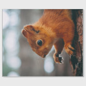 SQUIRREL OP TREE TRUNK CADEAUPAPIER (Vlak)
