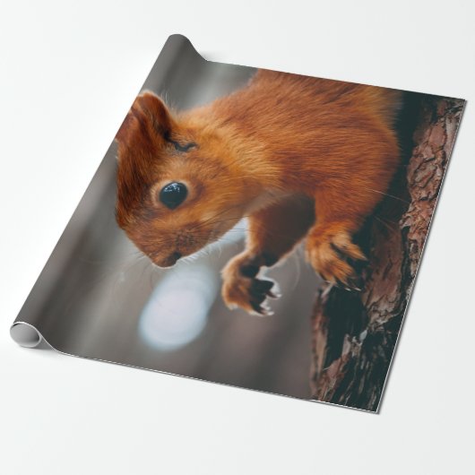 SQUIRREL OP TREE TRUNK CADEAUPAPIER (Uitgerold)