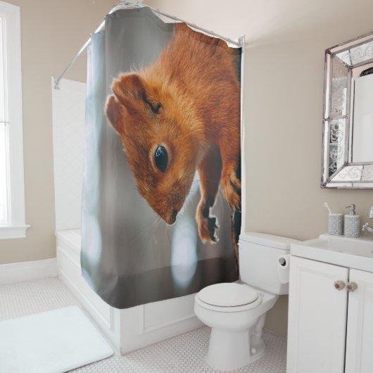 SQUIRREL OP TREE TRUNK DOUCHEGORDIJN (In situ)