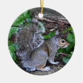 Squirrel Ornament (Voorkant)