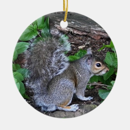 Squirrel Ornament (Voorkant)
