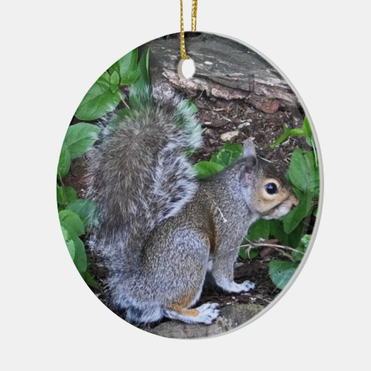 Squirrel Ornament (Links)