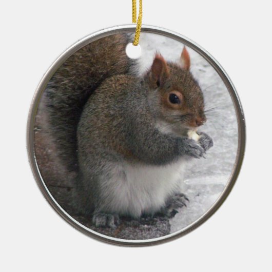 Squirrel Ornament (Voorkant)