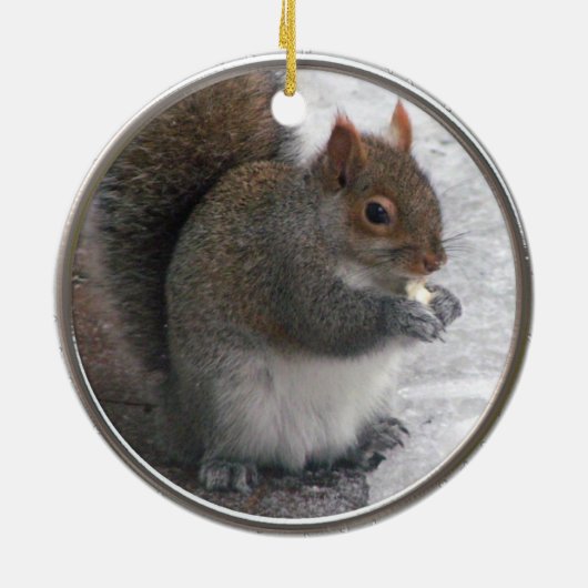 Squirrel Ornament (Achterkant)
