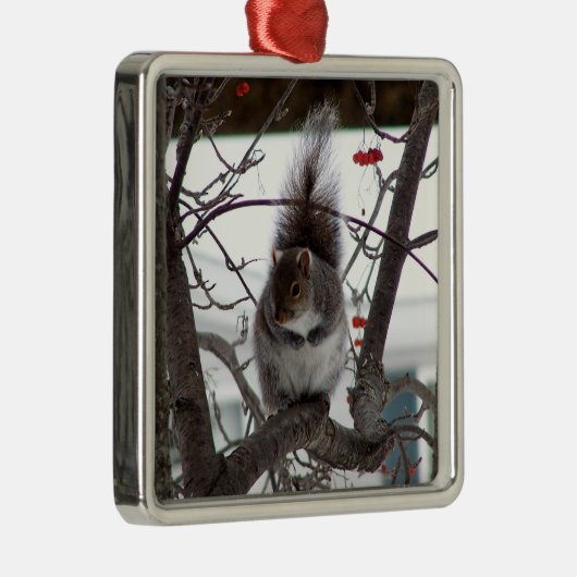Squirrel Ornament (Rechts)