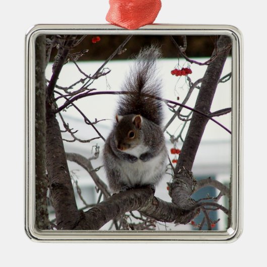 Squirrel Ornament (Voorkant)