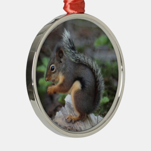 Squirrel Ornament (Rechts)