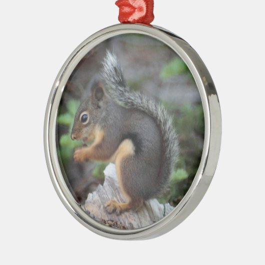 Squirrel Ornament (Links)