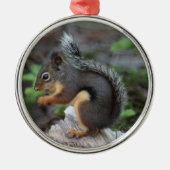 Squirrel Ornament (Voorkant)