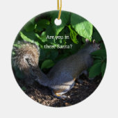 Squirrel Ornament (Voorkant)