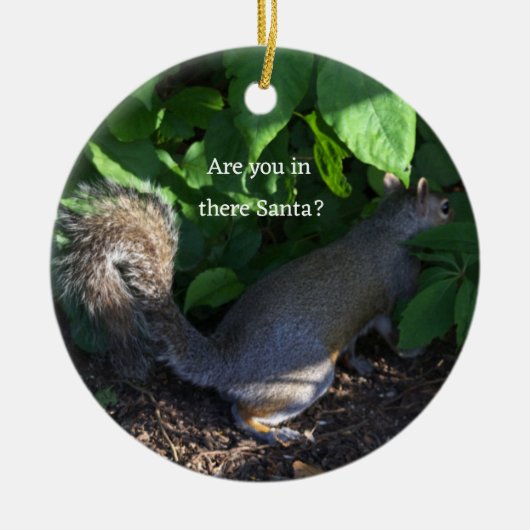 Squirrel Ornament (Voorkant)