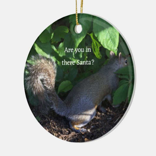 Squirrel Ornament (Links)