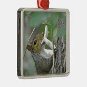 Squirrel Ornament (Rechts)