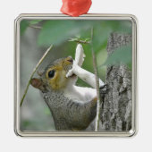 Squirrel Ornament (Voorkant)
