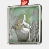 Squirrel Ornament (Links)
