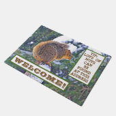 SQUIRREL OVER SNEEUWGEDEKTE POST/KIJK NAAR NUTS? DEURMAT (Schuin)