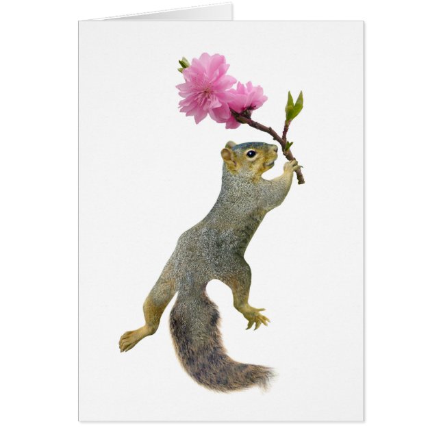 Squirrel Peach Blossom Card (Voorkant)