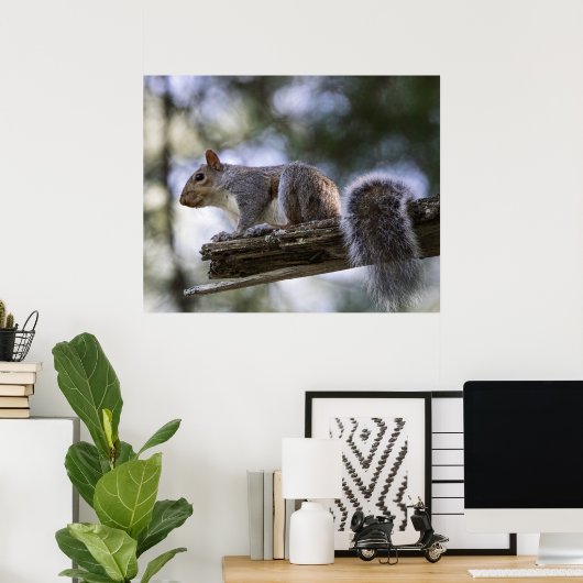 Squirrel Perched on a Tree Branch Poster (Thuiskantoor)