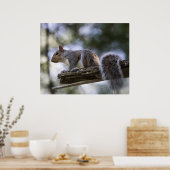 Squirrel Perched on a Tree Branch Poster (Keuken)