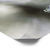 Squirrel Perched on a Tree Branch Poster (Hoek)